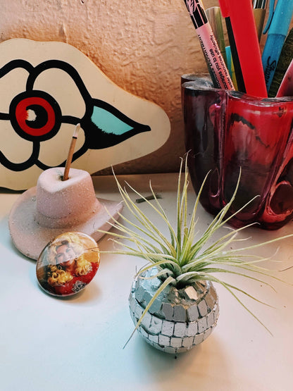 Disco Ball Mini Planter and Plant